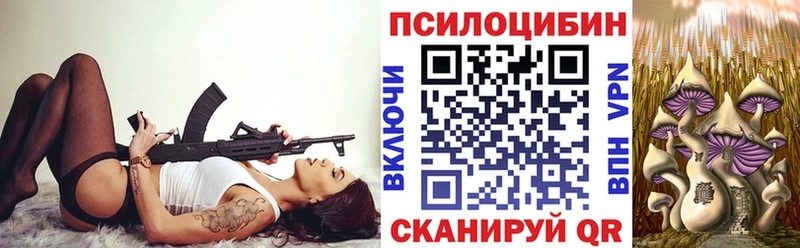 Псилоцибиновые грибы мухоморы  закладки  Таштагол 